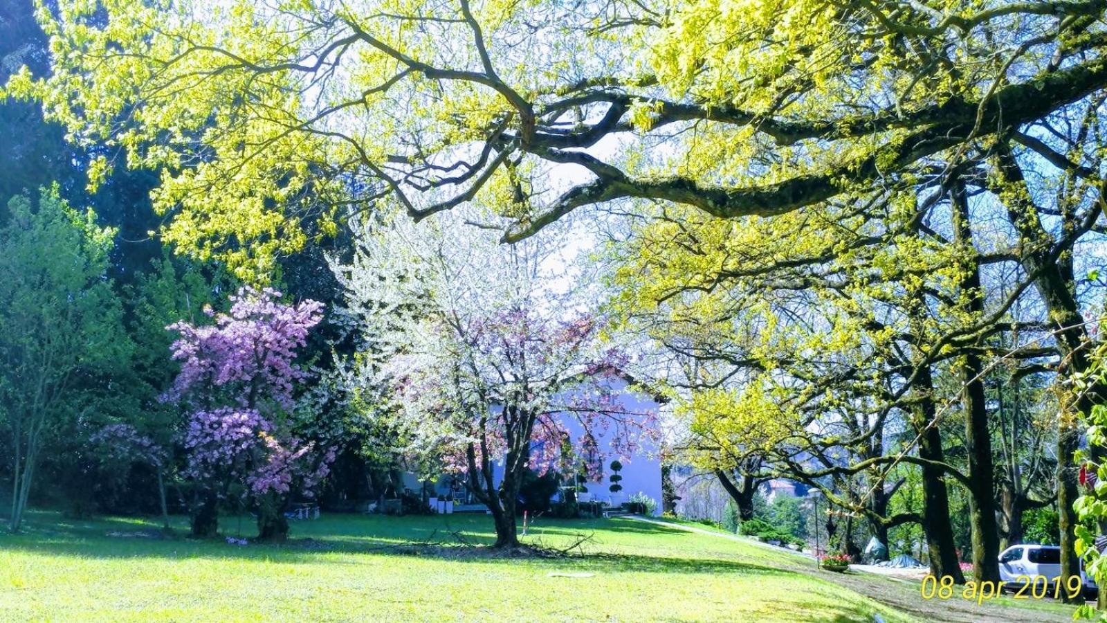 "La Selvetta" Bed And Breakfast Buguggiate Kültér fotó