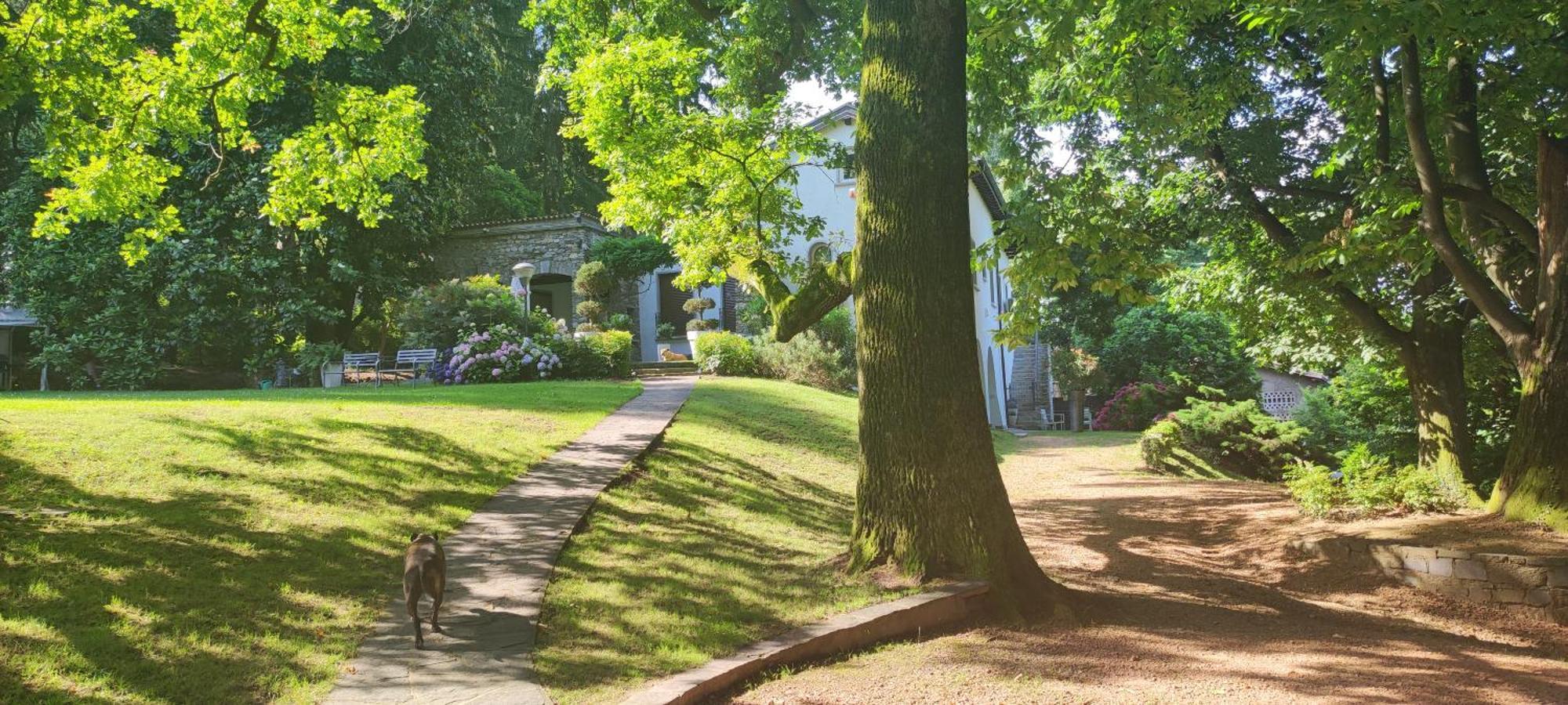 "La Selvetta" Bed And Breakfast Buguggiate Kültér fotó