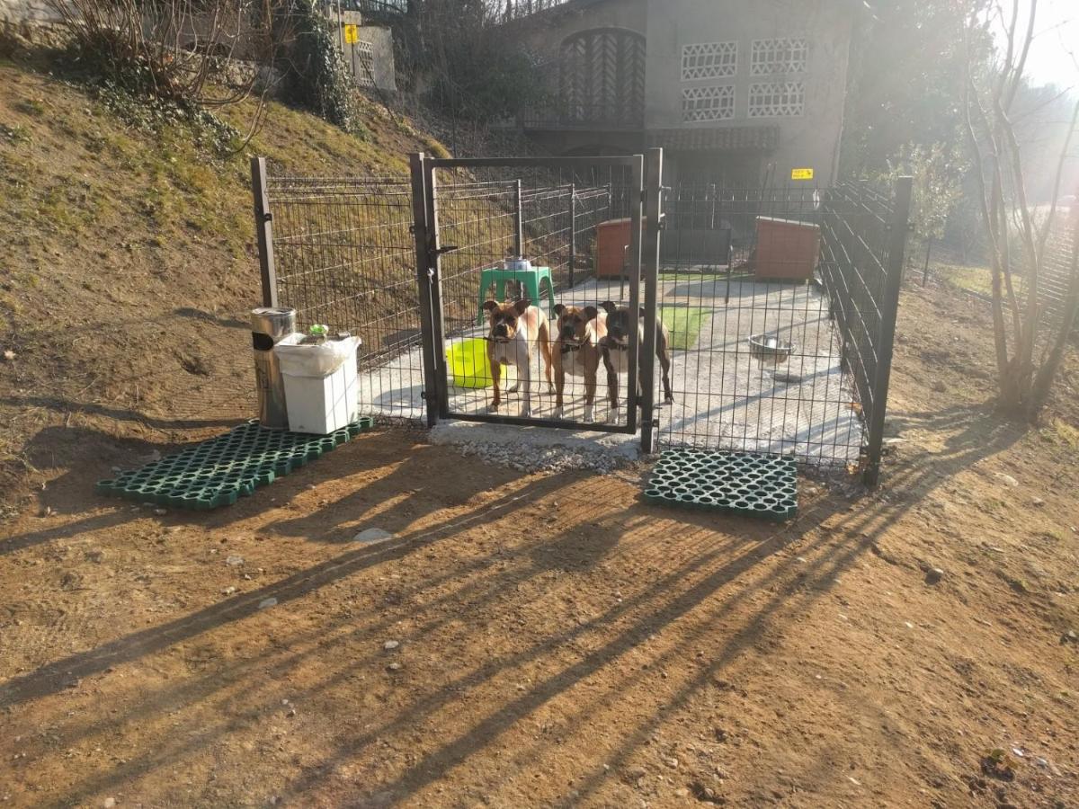"La Selvetta" Bed And Breakfast Buguggiate Kültér fotó